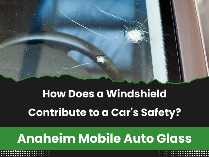 How Does a Windshield Contribute to a Car's Safety?